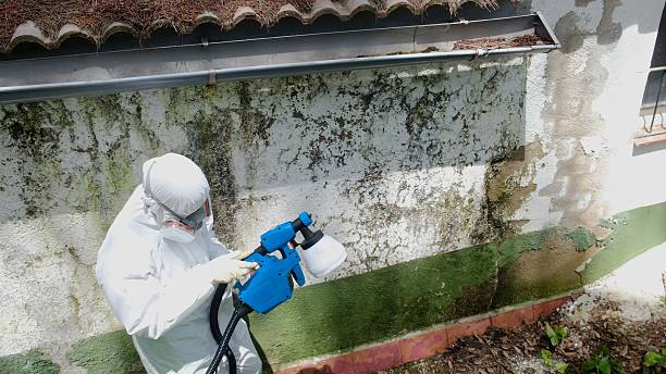 Top rated local Mold Remediation specialists in New Park, PA